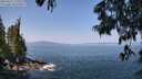 ./images/koeye/fitz-hugh/20250621/fitz-hugh20250621_110510M.jpg