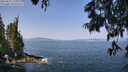 ./images/koeye/fitz-hugh/20250621/fitz-hugh20250621_111011M.jpg