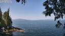 ./images/koeye/fitz-hugh/20250621/fitz-hugh20250621_111511M.jpg