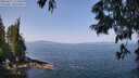 ./images/koeye/fitz-hugh/20250621/fitz-hugh20250621_112011M.jpg