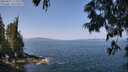 ./images/koeye/fitz-hugh/20250621/fitz-hugh20250621_112510M.jpg