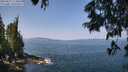 ./images/koeye/fitz-hugh/20250621/fitz-hugh20250621_113012M.jpg
