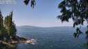 ./images/koeye/fitz-hugh/20250621/fitz-hugh20250621_113511M.jpg