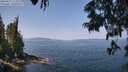 ./images/koeye/fitz-hugh/20250621/fitz-hugh20250621_114011M.jpg