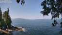 ./images/koeye/fitz-hugh/20250621/fitz-hugh20250621_115009M.jpg
