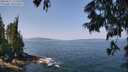 ./images/koeye/fitz-hugh/20250621/fitz-hugh20250621_115510M.jpg