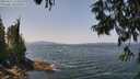 ./images/koeye/fitz-hugh/20250621/fitz-hugh20250621_125509M.jpg