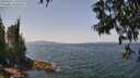 ./images/koeye/fitz-hugh/20250621/fitz-hugh20250621_130510M.jpg