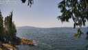 ./images/koeye/fitz-hugh/20250621/fitz-hugh20250621_131011M.jpg