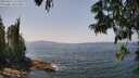 ./images/koeye/fitz-hugh/20250621/fitz-hugh20250621_132510M.jpg