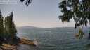 ./images/koeye/fitz-hugh/20250621/fitz-hugh20250621_133510M.jpg