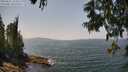 ./images/koeye/fitz-hugh/20250621/fitz-hugh20250621_134508M.jpg