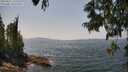 ./images/koeye/fitz-hugh/20250621/fitz-hugh20250621_135510M.jpg