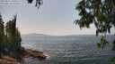 ./images/koeye/fitz-hugh/20250621/fitz-hugh20250621_140508M.jpg