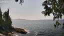 ./images/koeye/fitz-hugh/20250621/fitz-hugh20250621_145510M.jpg