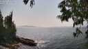 ./images/koeye/fitz-hugh/20250621/fitz-hugh20250621_155510M.jpg