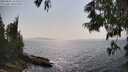 ./images/koeye/fitz-hugh/20250621/fitz-hugh20250621_162509M.jpg