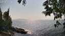 ./images/koeye/fitz-hugh/20250621/fitz-hugh20250621_163510M.jpg