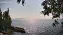 ./images/koeye/fitz-hugh/20250621/fitz-hugh20250621_164010M.jpg
