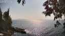 ./images/koeye/fitz-hugh/20250621/fitz-hugh20250621_170510M.jpg