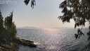 ./images/koeye/fitz-hugh/20250621/fitz-hugh20250621_171008M.jpg