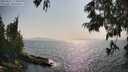 ./images/koeye/fitz-hugh/20250621/fitz-hugh20250621_172011M.jpg