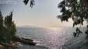 ./images/koeye/fitz-hugh/20250621/fitz-hugh20250621_172508M.jpg
