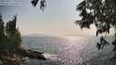 ./images/koeye/fitz-hugh/20250621/fitz-hugh20250621_173011M.jpg