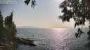 ./images/koeye/fitz-hugh/20250621/fitz-hugh20250621_174011M.jpg