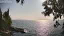 ./images/koeye/fitz-hugh/20250621/fitz-hugh20250621_175011M.jpg