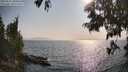 ./images/koeye/fitz-hugh/20250621/fitz-hugh20250621_180012M.jpg