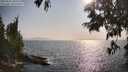 ./images/koeye/fitz-hugh/20250621/fitz-hugh20250621_180510M.jpg