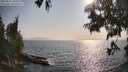./images/koeye/fitz-hugh/20250621/fitz-hugh20250621_181011M.jpg