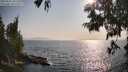 ./images/koeye/fitz-hugh/20250621/fitz-hugh20250621_181511M.jpg