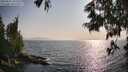 ./images/koeye/fitz-hugh/20250621/fitz-hugh20250621_182510M.jpg