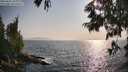 ./images/koeye/fitz-hugh/20250621/fitz-hugh20250621_183011M.jpg