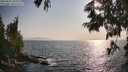 ./images/koeye/fitz-hugh/20250621/fitz-hugh20250621_183510M.jpg