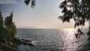 ./images/koeye/fitz-hugh/20250621/fitz-hugh20250621_184011M.jpg