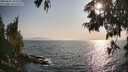 ./images/koeye/fitz-hugh/20250621/fitz-hugh20250621_184511M.jpg