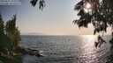./images/koeye/fitz-hugh/20250621/fitz-hugh20250621_185011M.jpg