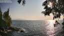 ./images/koeye/fitz-hugh/20250621/fitz-hugh20250621_185510M.jpg