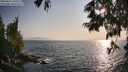 ./images/koeye/fitz-hugh/20250621/fitz-hugh20250621_190509M.jpg