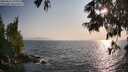 ./images/koeye/fitz-hugh/20250621/fitz-hugh20250621_191008M.jpg