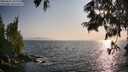 ./images/koeye/fitz-hugh/20250621/fitz-hugh20250621_191507M.jpg
