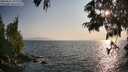 ./images/koeye/fitz-hugh/20250621/fitz-hugh20250621_192009M.jpg