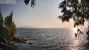 ./images/koeye/fitz-hugh/20250621/fitz-hugh20250621_192509M.jpg