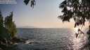 ./images/koeye/fitz-hugh/20250621/fitz-hugh20250621_193007M.jpg