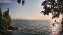 ./images/koeye/fitz-hugh/20250621/fitz-hugh20250621_193509M.jpg