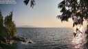 ./images/koeye/fitz-hugh/20250621/fitz-hugh20250621_194508M.jpg