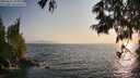 ./images/koeye/fitz-hugh/20250621/fitz-hugh20250621_195009M.jpg